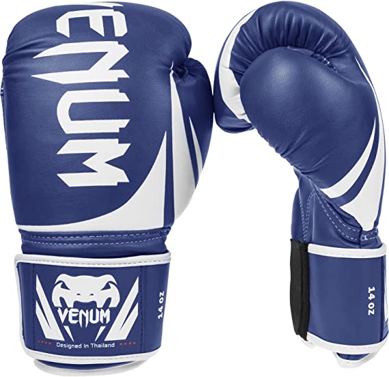 best boxing gloves for heavy bags 